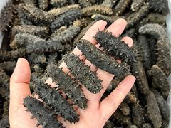 -大连双兴商品城