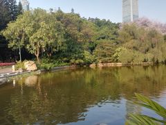 -广州珠江公园