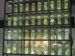-广东中医药博物馆