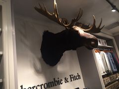 -Abercrombie & Fitch(天环广场店)
