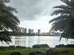 -飞来湖湿地公园
