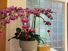 -沐森 •疗愈头疗馆(打浦桥店)