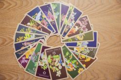 -芳香乐府疗愈空间·SPA·冥想