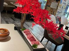 -赤坂亭M9和牛烧肉·日料398放题(万达店)