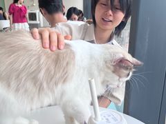 -怪兽屋·羊驼·猫咖·狗咖(俊华广场店)