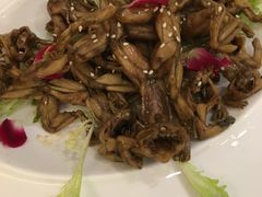 -渝半城经典川粤菜(重庆天地店)
