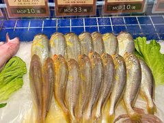 -協成海鮮火鍋(老店)