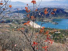 -北京十三陵国家森林公园蟒山景区