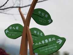 -径山花海