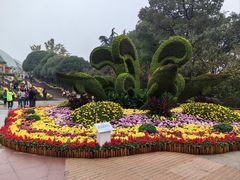 -南山植物园