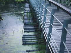 -西湖风景区-江洋畈生态公园