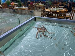 -聚鲜阁海鲜美食城(香水湾店)