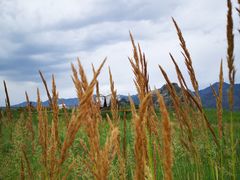 -敕勒川草原文化旅游区