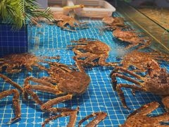 水产区-驻海渔市(置信店)