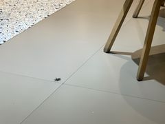 -胜记凯心茶餐厅(汇金财富广场店)