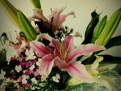 -拿渡麻辣香锅(世茂广场·工三店)