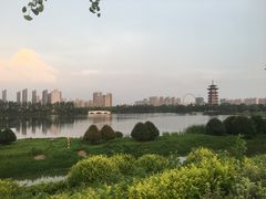 -洋湖国家湿地公园