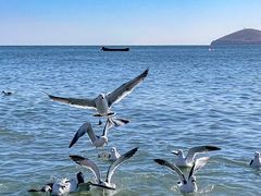 -银沙滩浴场