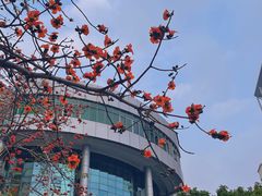 -深圳国际园林花卉博览园