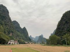 -明仕田园