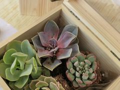-北京盈之宝宝马4S店(望京店)