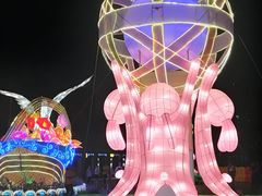 -映月湖公园