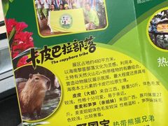 -海南热带野生动植物园