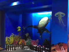 -船奇蒸汽海鲜·闽菜(八市海鲜总店)