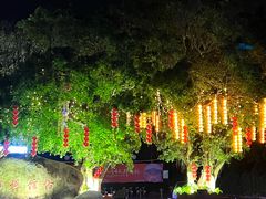 -湄洲岛