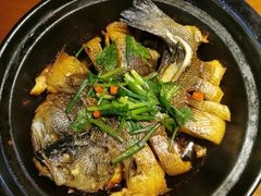生焖鲈鱼-茄子恰恰·新云南小炒(金池购物中心店)