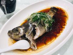 -大东海海鲜酒楼(渔人码头总店)