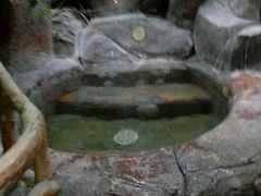 -金隅凤山酒店