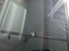 -鲨鱼皮汽车凹陷玻璃修复(静安店)