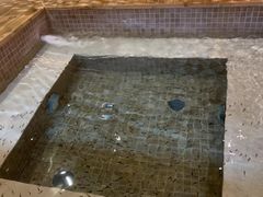 -中家鑫园温泉酒店鑫悦汤泉