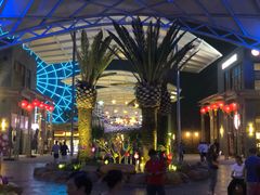 -三亚海昌梦幻海洋不夜城