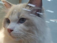 -乐宠宠物店(世纪金源店)