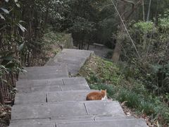 -敬亭山风景名胜区