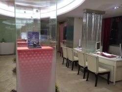 -Zbird钻石小鸟·钻戒婚戒定制高端珠宝私人定制中心
