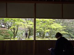 -西芳寺(苔寺)