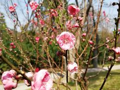 -桃花涧