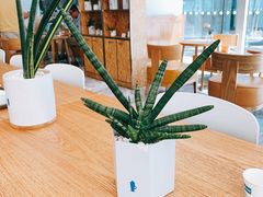 -Blueglass酸奶(财富购物中心店)