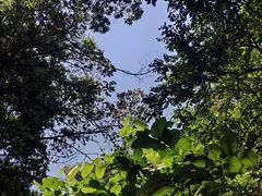 -火炉山森林公园