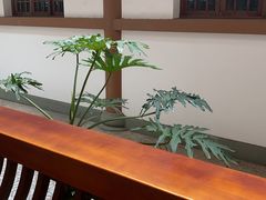 -皇城清真寺