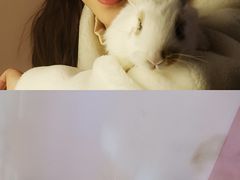 -浣熊柯尔鸭土拨鼠·电玩咖