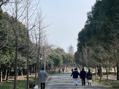 -蜀冈西峰生态公园