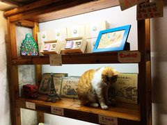 -猫的天空之城概念书店(西塘古镇店)