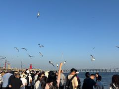 -星海广场
