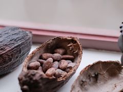 -SANYAY叁言咖啡巧克力