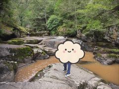 -茅兰沟国家森林公园