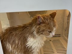 -芭比堂宠物医院·全科爱猫医院·仁德分院